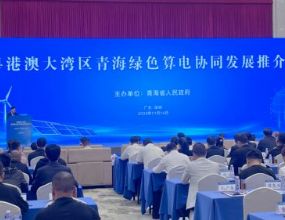 孙明高会长应邀出席粤港澳大湾区青海绿色算电协同发展推介会